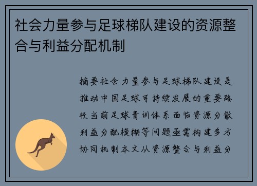 社会力量参与足球梯队建设的资源整合与利益分配机制